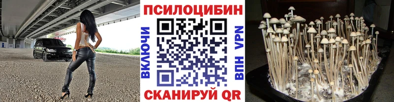 Псилоцибиновые грибы Cubensis  купить наркотик  Новомичуринск 